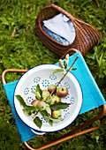 Colander of windfall apples on turquoise folding stool with picnic basket