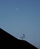 Weather vane on tiled roof with moon in night sky