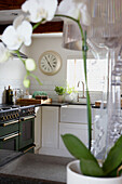 View of kitchen through orchid with wall clock and kitchen range