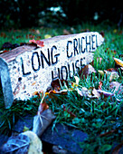 Carved name sign on grass with fallen leaves
