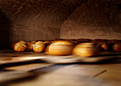 Loaves of bread in a bread oven