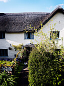 Front path to thatched Devon cottage