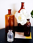 Single stem rose in apothecary bottle
