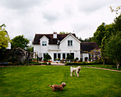 Zwei Hunde im Garten eines Hauses in Surrey
