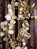 Dried flowers garland Honesty (Lunaria annua) Essex England UK