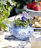 Flowering pansy in teapot with strawberries on cake stand in garden City of Bath Somerset, England, UK