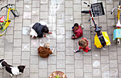 Woman and children with dog, drawing on pedestrianised street in Amsterdam, Netherlands