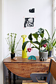 Houseplants on wooden folding table in contemporary apartment, Amsterdam, Netherlands