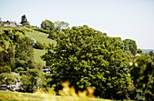 Hillside in rural Welsh borders valley UK