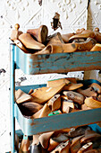Assorted wooden shoe horns in vintage service trolley Warkworth Auckland North Island New Zealand