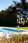 Wildflowers bloom at poolside in Brittany France