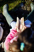 Mädchen sitzt und isst ein Lachs-Baguette in der Grafschaft Sligo Connacht Irland