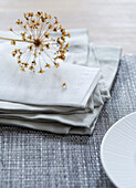 Dried flowers and napkins on placemat in studio, UK