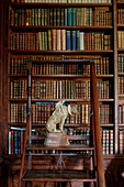 Tierstatue auf polierter Holzleiter in der Bücherei von Capheaton Hall in Northumberland, UK
