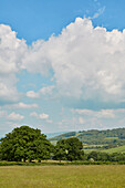 View of fields and farmland in Powys, Wales, UK