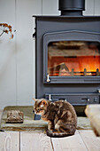 Pet cat in front of lit woodburner in West Sussex barn conversion, UK