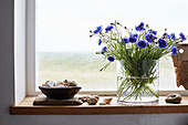 Cornflowers in vase with seashells on windowsill in Camber cottage, East Sussex, UK