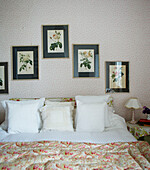 Botanical prints above bed with quilted cover in Syresham home, Northamptonshire, UK
