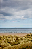 View to sea in coastal Northumberland, UK