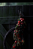Rote Blumen hängen an einer Holztür an der Grenze zwischen Radnorshire und Herfordshire, UK