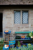 Autumn harvest in Old Lands kitchen garden Monmouthshire, UK