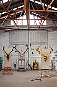 Painted antlers on easels in Somerset barn, UK