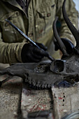 Artisan painting animal skull in Somerset workshop, UK