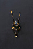 Gold and black painted skull and horns Somerset, UK