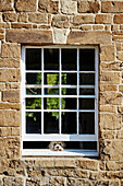 Dog looking out f window of old stone cottage, UK