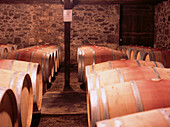 Wine cellar filled with barrels in the a French vineyard