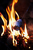 Marshmallows über einem Lagerfeuer grillen
