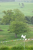 Green hill with trees and colorful flags and bird shape