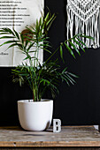 Monochrome Pinnwand und Zimmerpflanze mit Betonbuchstabe 'B' in Colchester home, Essex, UK