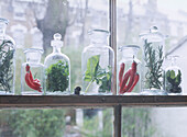Window display of fresh herbs and red chilies in glass bottles 