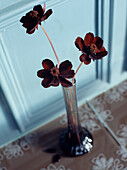 Three fresh cut flowers in a vase on a tabletop