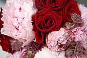 Detail of fresh red roses and pink peonies