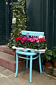Topfpflanzen auf einem bemalten Stuhl an der Eingangstreppe eines Hauses in Hastings