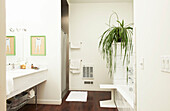 Houseplant in white bathroom of Sheffield home, Berkshire County, Massachusetts, United States