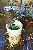 Farbmischer in einem Eimer mit grüner Farbe im Druckatelier in Sheffield, Berkshire County, Massachusetts, Vereinigte Staaten