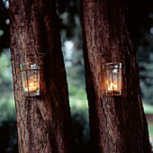 Glass candle holders nailed to tree trunks