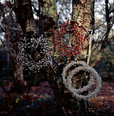 Handmade Christmas wreaths hanging on a tree trunk in a wooded area