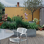 Modern decked patio rooftop garden with painted walls and potted plants
