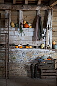 Pumpkin and squashes in rustic barn interior, United Kingdom