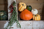 Various Pumpkins and squashes with sprig of rosemary in rustic barn interior, United Kingdom