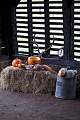 Pumpkins and hay bales in rustic barn interior, United Kingdom