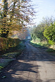 Country road with shadows of Autumn trees, United Kingdom