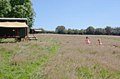Two girls in pink ballet dresses running towards a Shepherds hut in a field