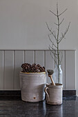 Neutral Still Life with Pinecones twig and washing up brush in pots and bottle