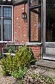 Flowering plants on doorstep at brick exterior of Haslemere home, Surrey, UK