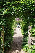 View through beech hedge and gateway down gravel path in Haslemere garden, Surrey, UK